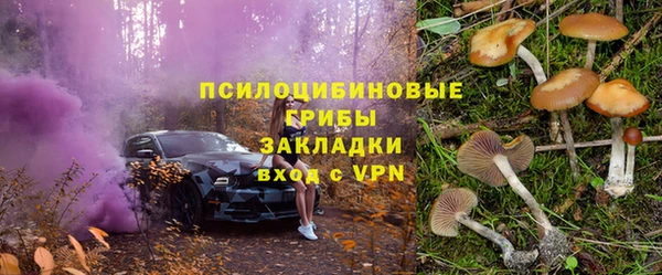 spice Инсар