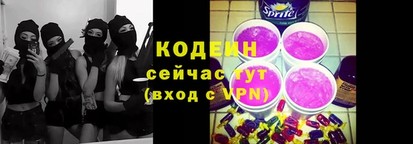 соль ск Иннополис