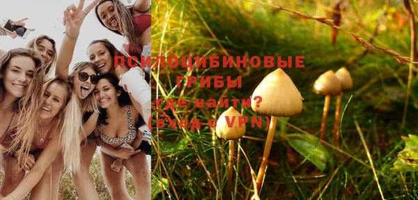 герыч Зерноград