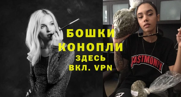 spice Инсар
